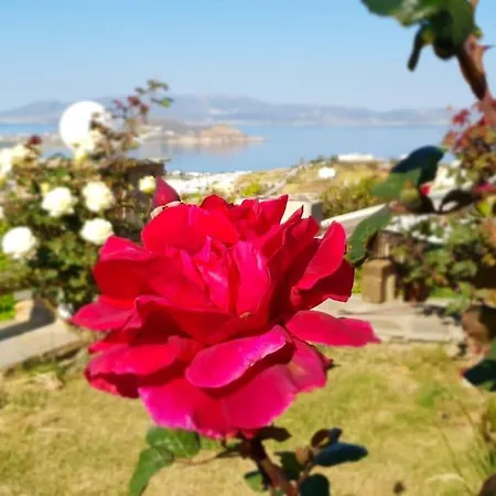 7days-suite & Seaview