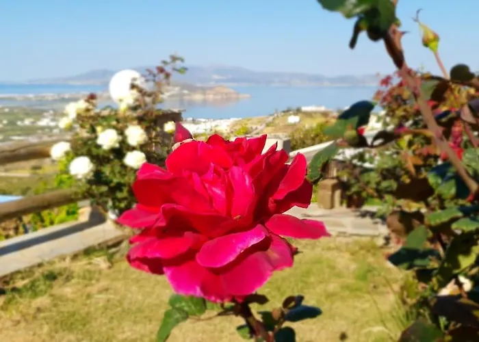 7days-suite & Seaview